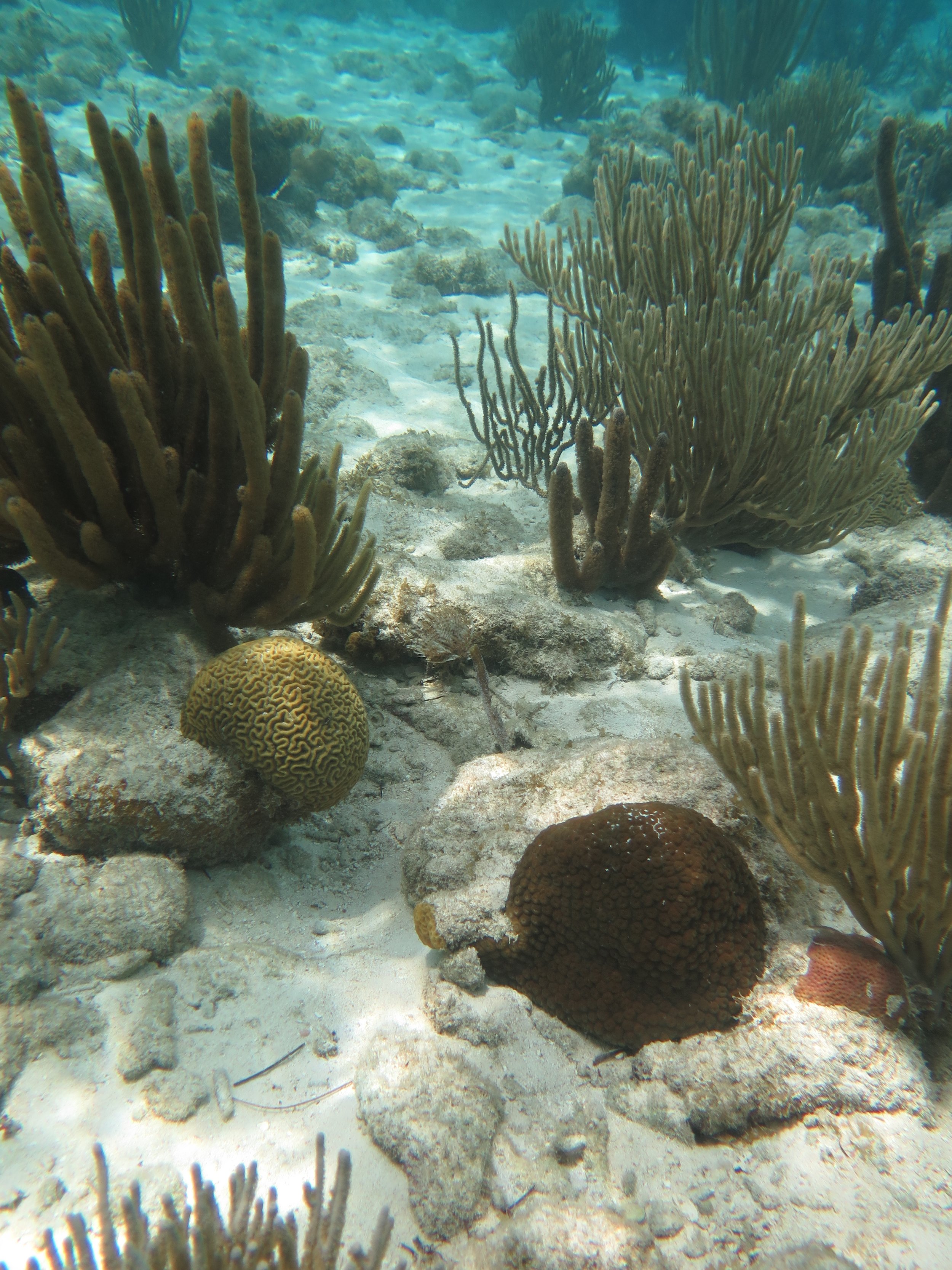 IMG_7642.JPG