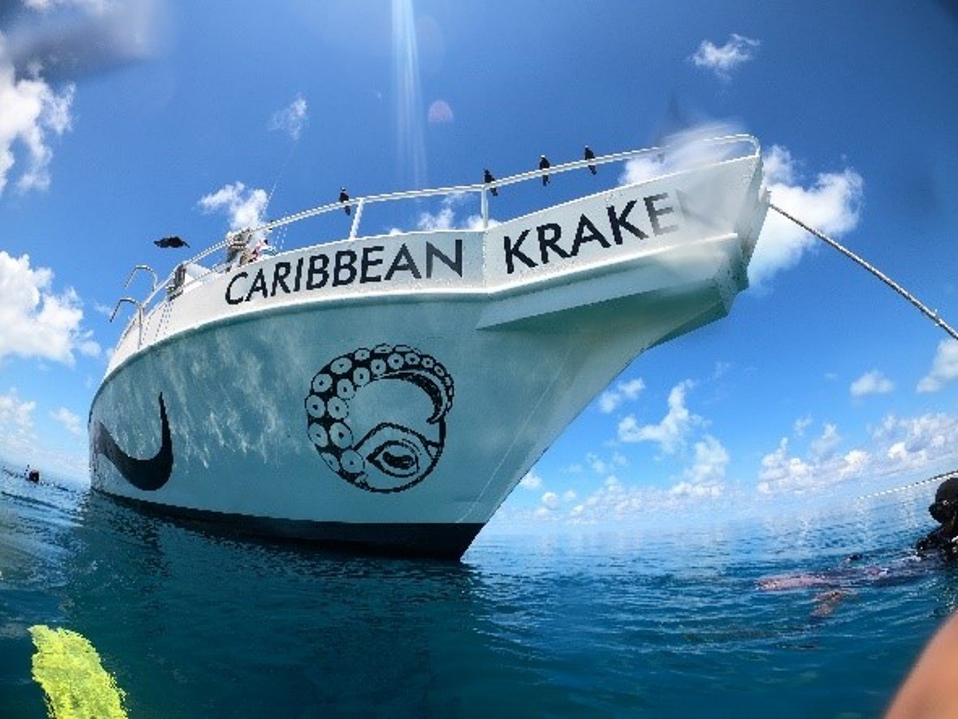 coral pic 4.jpg