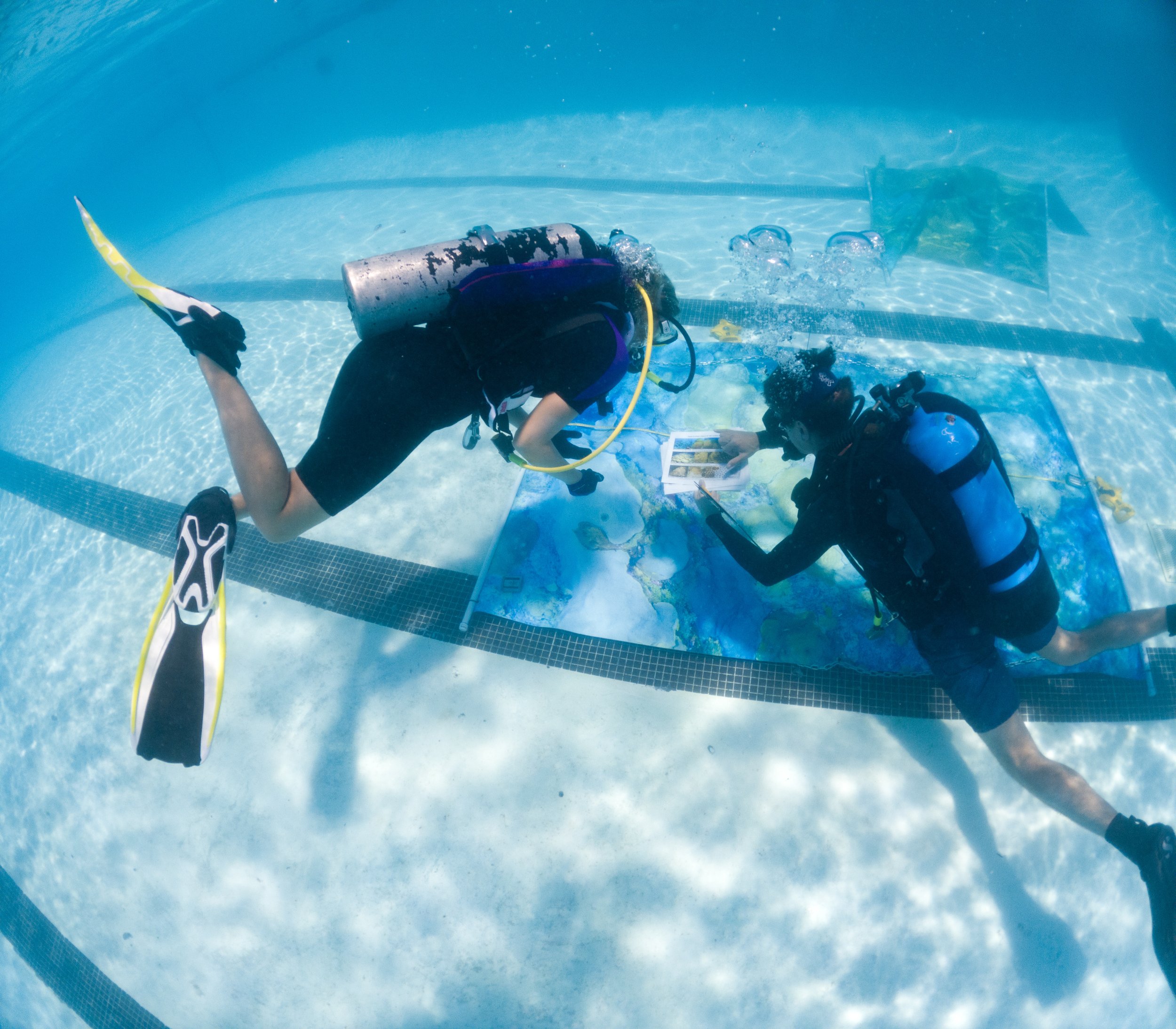 JPAGE-TAMUCC-BAHR-CoralLab2023-0080.jpg