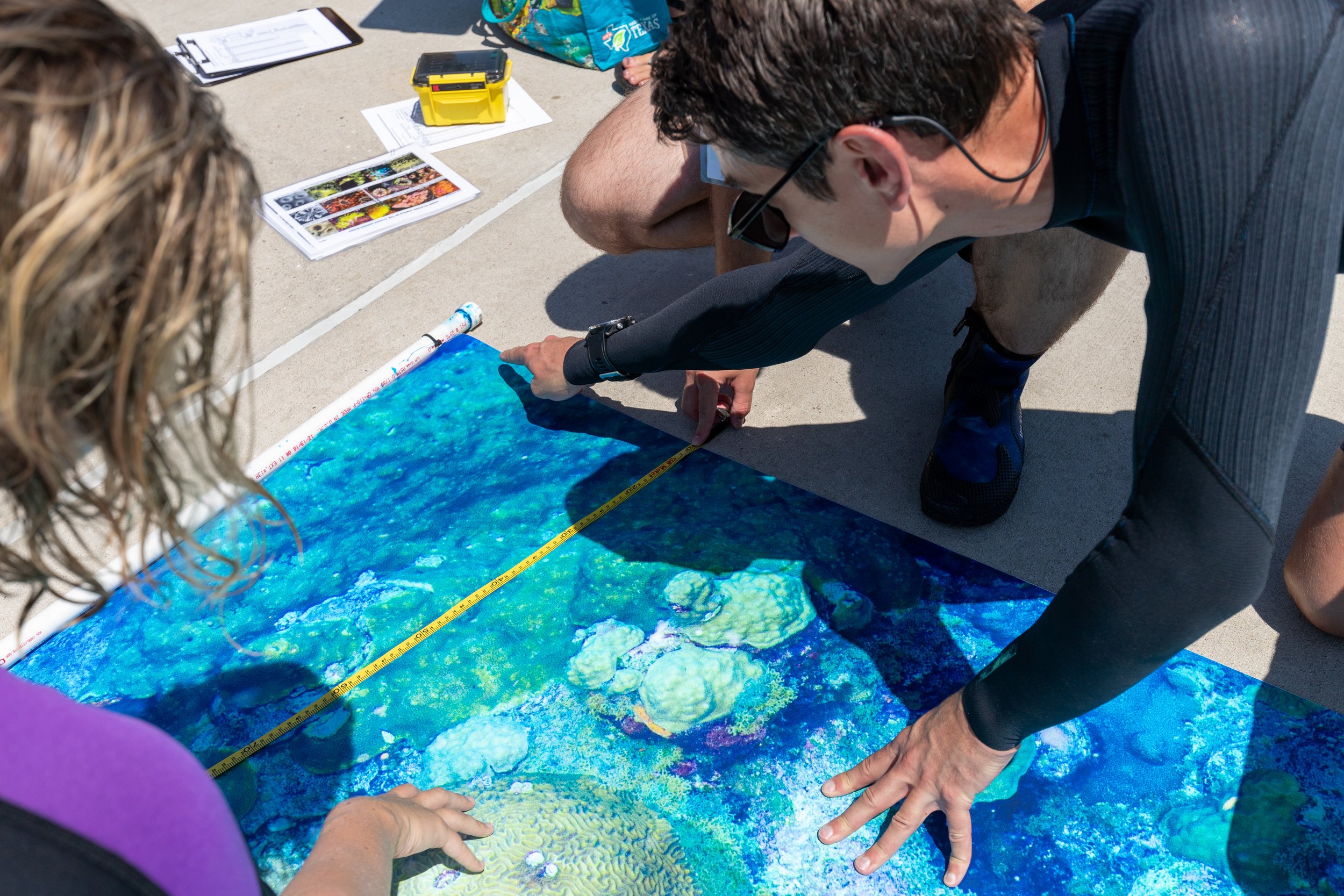 JPAGE-TAMUCC-BAHR-CoralLab2023-3626.jpg