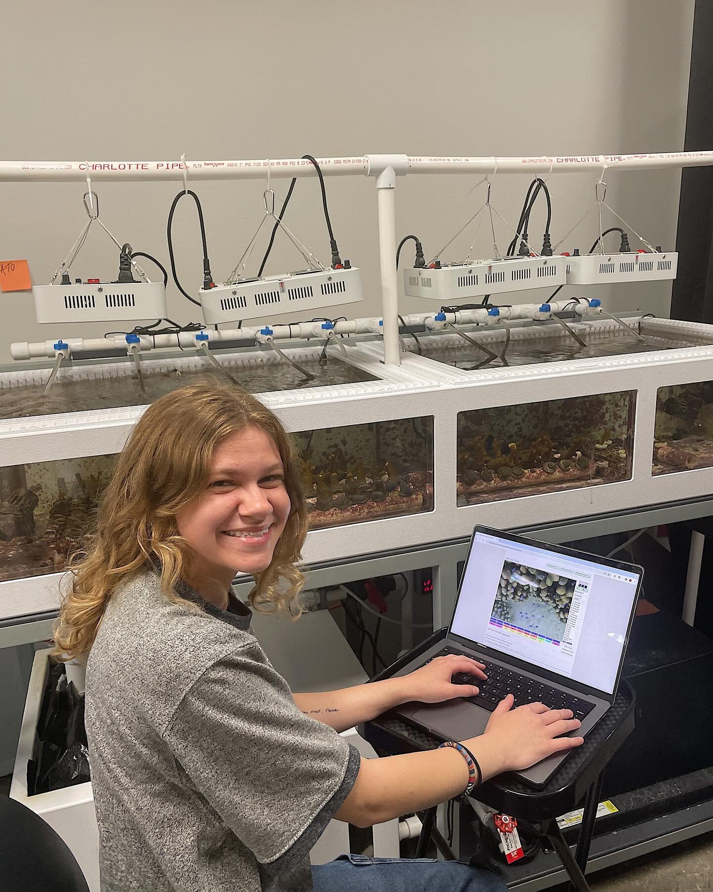 Hello everyone! 🌟
Soleil DeLorge, an undergraduate research intern at the Bahr Lab, is currently working on a Direct Independent Study (DIS). She&rsquo;s working alongside postbaccalaureate Eleanor TenBrink, who is serving as her mentor, and under 