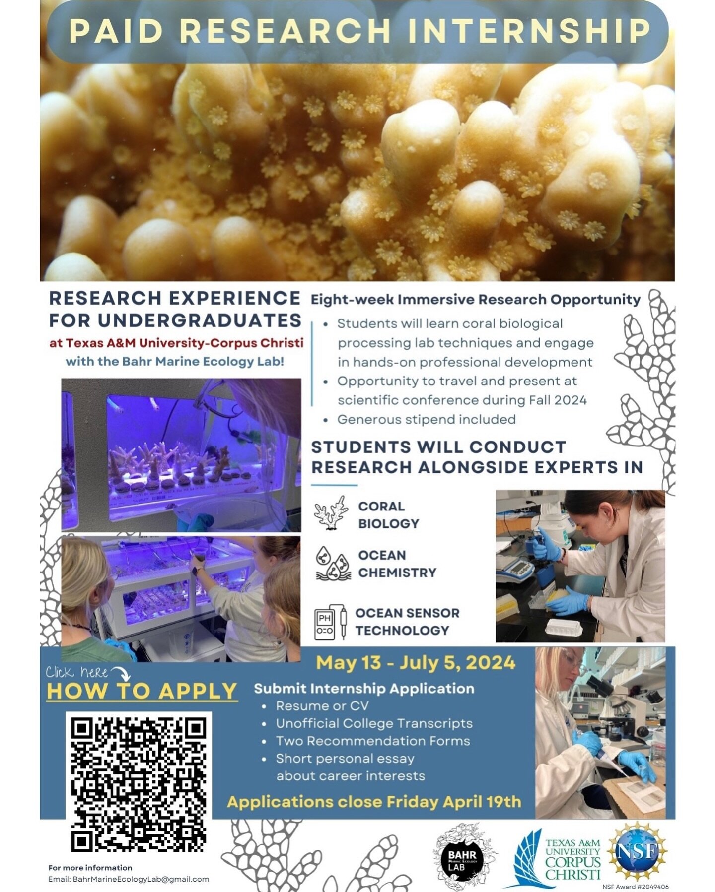 🌟 Paid Summer Research Opportunity! 🌟 
Calling all passionate coral reef undergraduate enthusiasts attending TAMU-CC! 🌊🐠 The Bahr Lab is now accepting applications for our NSF-funded summer internship program. Dive into hands-on research alongsi