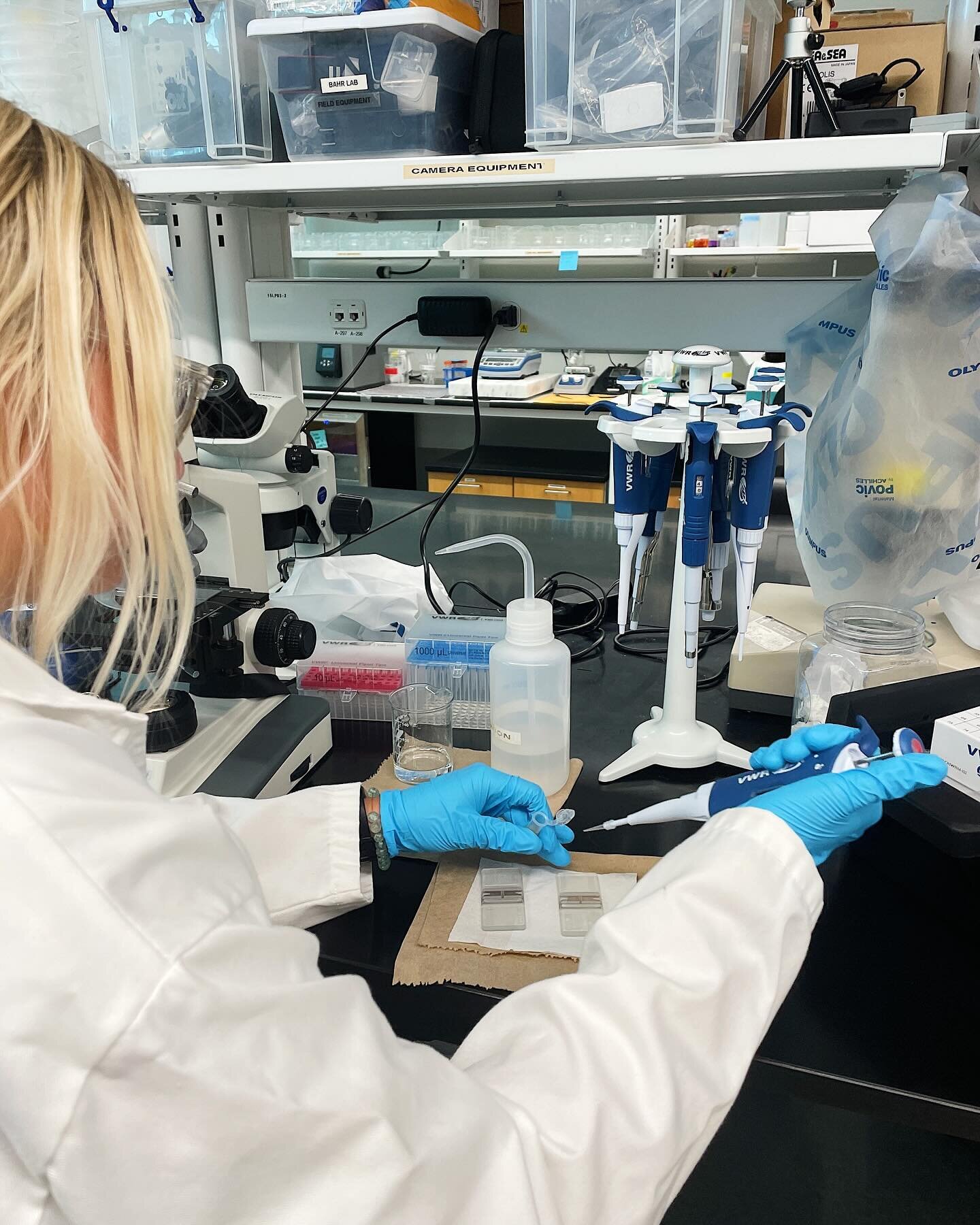 🌊 Introducing Autumn&rsquo;s Ocean Acidification DIS! 🔬 
Hey everyone! 🌟 Meet Autumn Hampton, a current LSMAP scholar and a passionate undergraduate studying marine biology, currently immersed in her Directed Independent Study (DIS)! 🪸🔍 
What 
